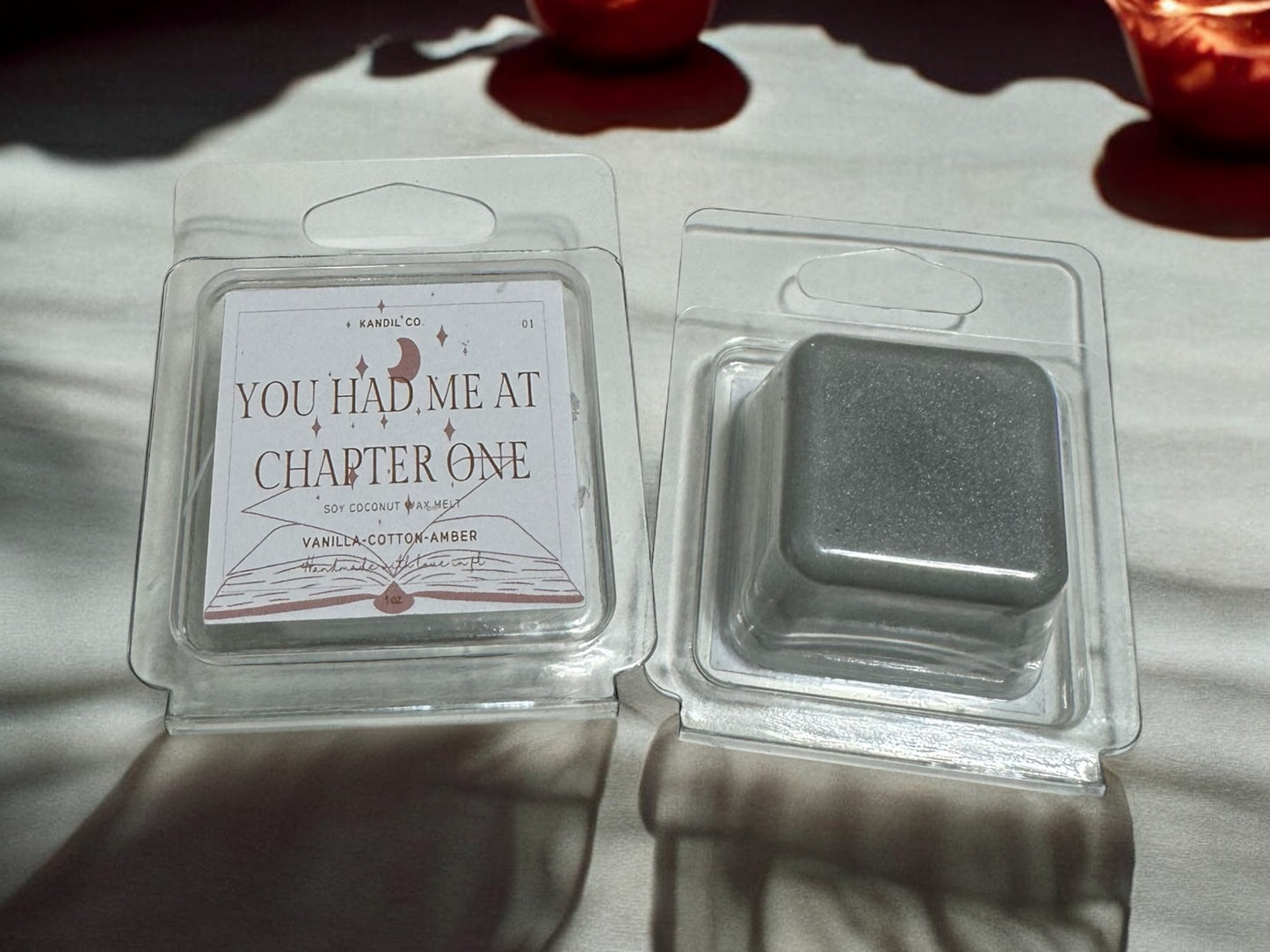You Had Me At Chapter One 1 oz Wax Melt